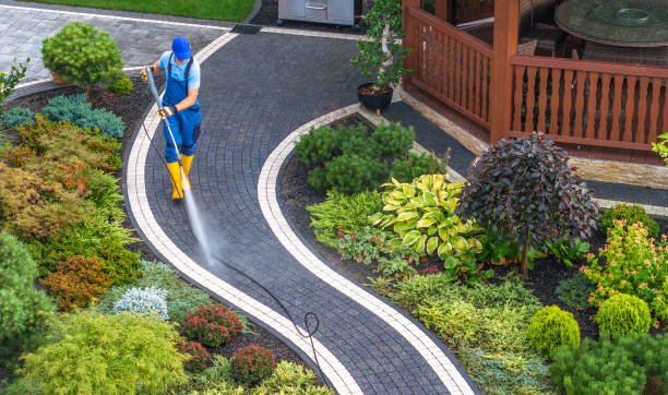 Best Pressure Washing Company Near Me  in Spring Valley Lake, CA
