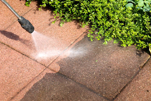 Best Residential Pressure Washing Services  in Spring Valley Lake, CA